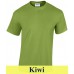 2000 kiwi